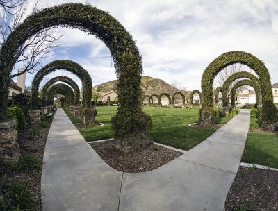 City Park with Vine Covered Arches