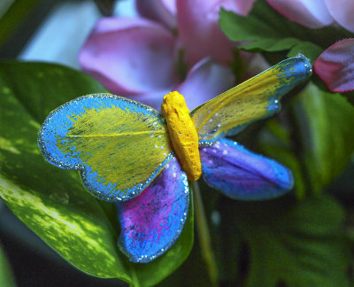 Pop-art filter, artificial butterfly