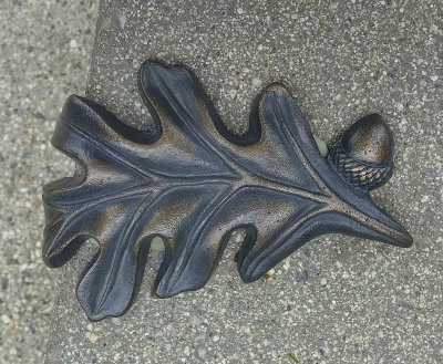 Detail of bronze oak leaf on an outside library bench