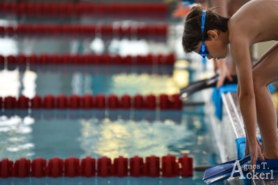 Flossenschwimmen/ Finswimming sterreichische Kindermeisterschaften 2015