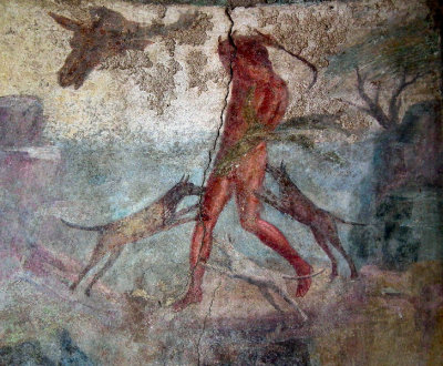  Dog attack in unknown house Pompeii