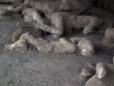  Plaster casts of bodies 