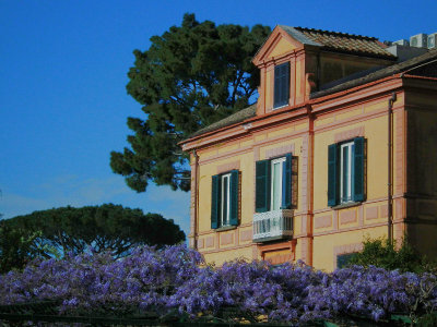 Hotel and wisteria Sorrento