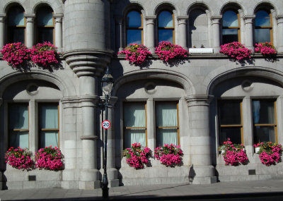 Town House florals