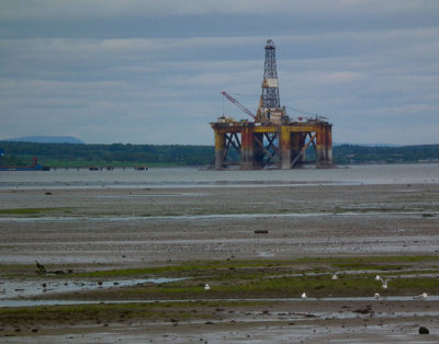 Cromarty Firth Low Tide