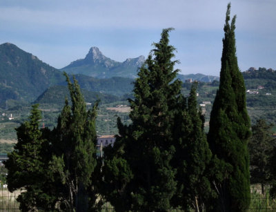 Commune di Falcone tree view