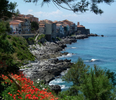 Cephalu and poppies from cliff walk