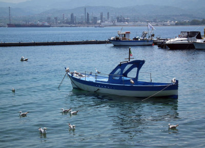 Milazzo marina and gulls