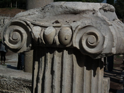 Fallen Ionic capital with representation of Bulls testicles