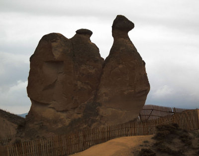 Cappadocia_The Camel 