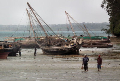 Mkokokotoni  at low tide