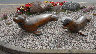 Lewis_Stornoway_seal carving flower bed