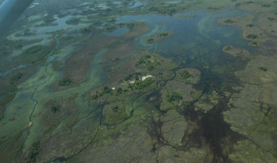 Okavango