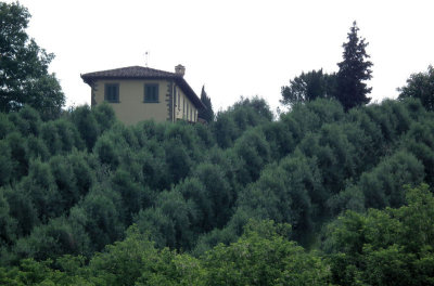 Vinci farmhouse