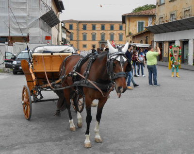 Horse carriage