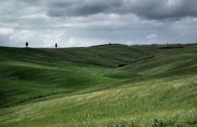 River valley with wind blown grasses