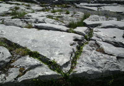 The Burren_limestone pavements