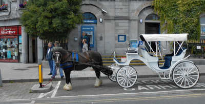 Galway City_Hackney Carriage