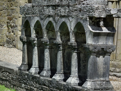 Cong Abbey ruins