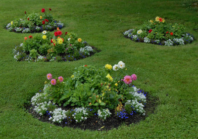 Turlough Park Manor gardens_dahlia beds