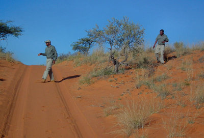 Prince and Richard our guides searching for aardvark