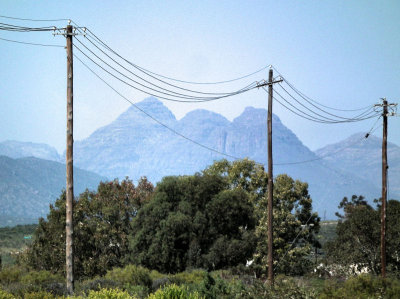 Clanwilliam_Cederberg Range and telephone poles