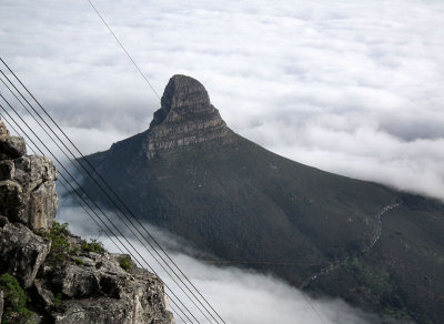 Lions Head from Table Mountain