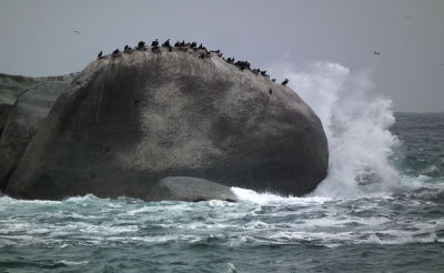 Clifton 4h Beach_Whale-like Rocks_waves and Cormorants