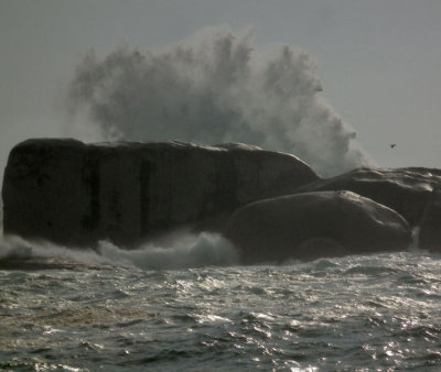 Clifton 4th Beach_Whale-like Rocks spouting