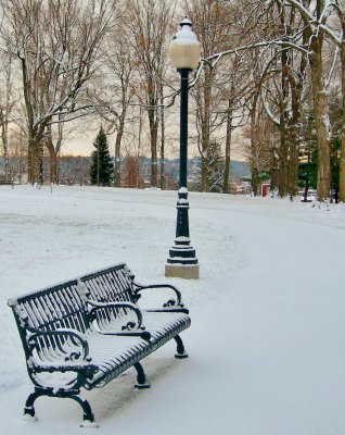 park bench (1)