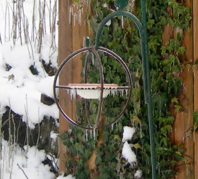 frozen bird feeder (1)