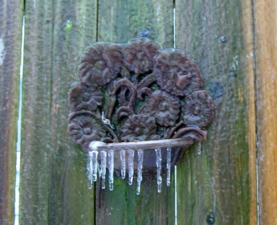 frozen bird feeder (2)