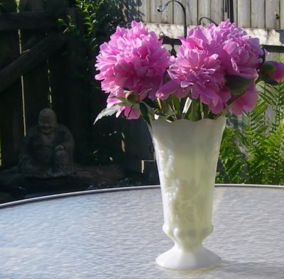 peonies in a vase