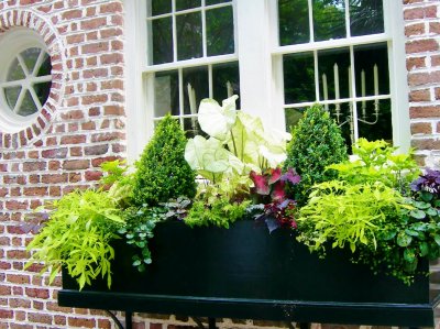 city sights (16)