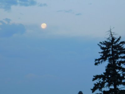 summer solstice moon june 21 @ 5:23 a.m.
