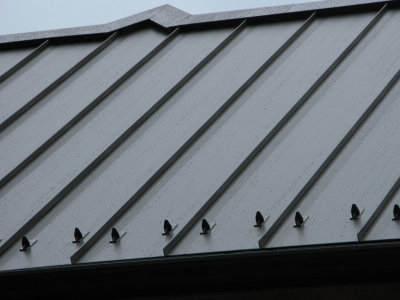 Roof with snow stoppers