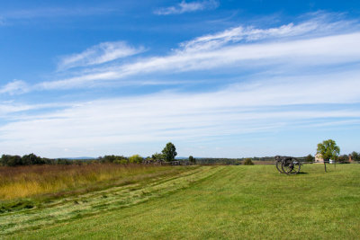 Henry's Hill - Battle of 1st Manassas