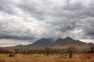 Tsavo West Landscape