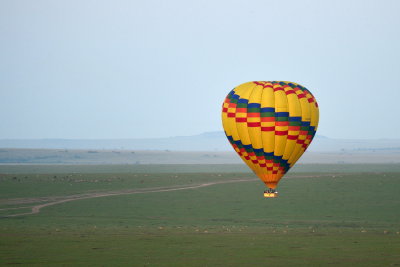 Baloon Ride