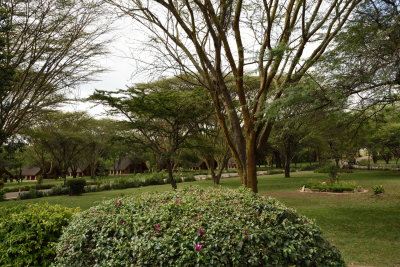 Mara keekorok Lodge