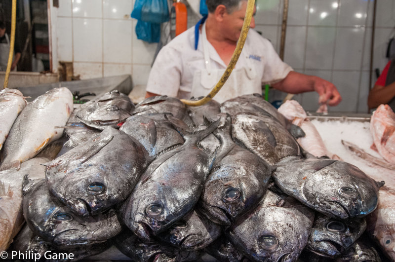 Fishmonger at the Mercado Central