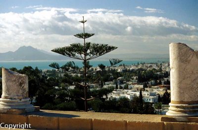 Ruins of ancient Carthage