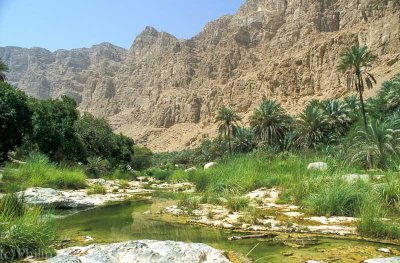 Wadi Tiwi