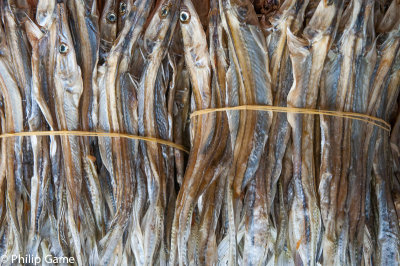 Dried fish at the Central Market