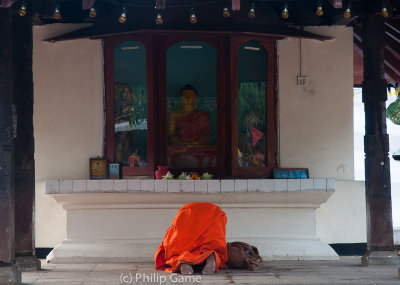 Buddhist monk at prayer, Kandy
