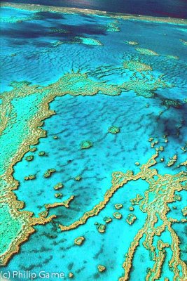 The Great Barrier Reef, Australia