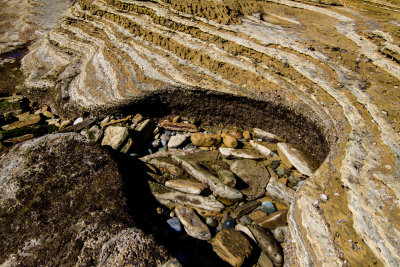 Tide Pool 3