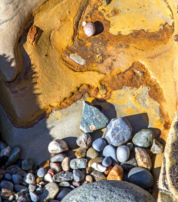 Tide Pool 2