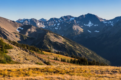 Olympic National Park