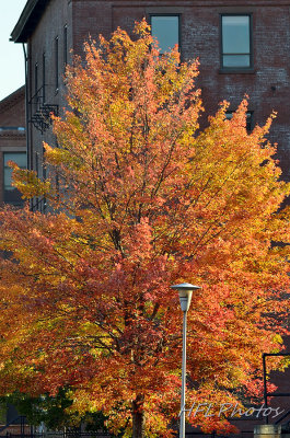 Day 30 Bucket -20131012 2059 A Riot of Canal Color